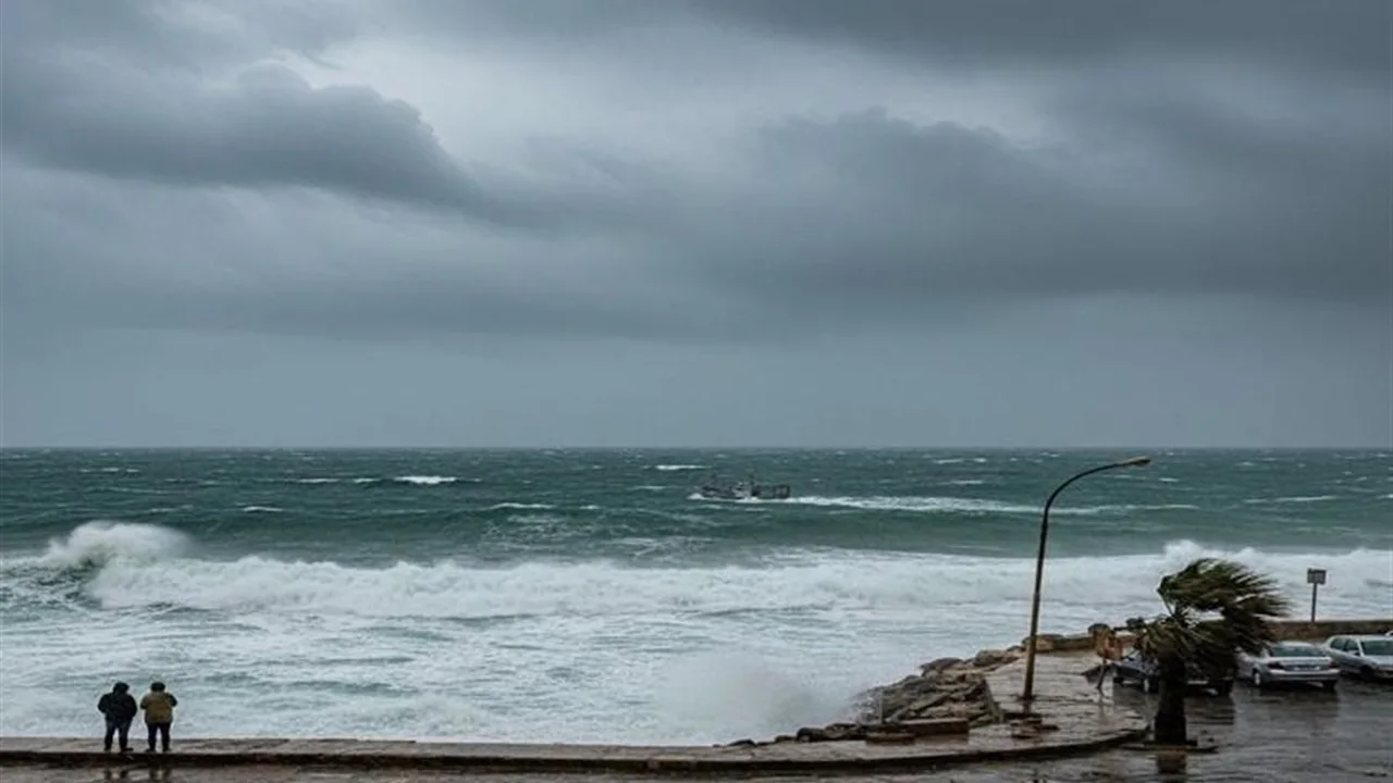 تقلبات جوية مرتقبة تشمل أمطارًا ورياحًا وأتربة بداية من الأسبوع المقبل